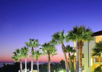 Palm trees against clear sky during sunset