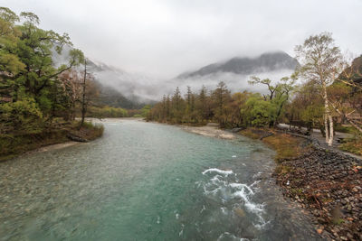 Scenic view of river amidst trees against sky