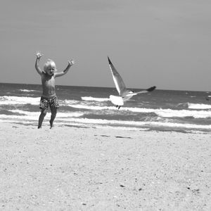 People walking on beach