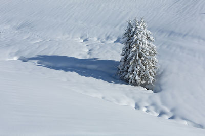 High angle view of snow covered land