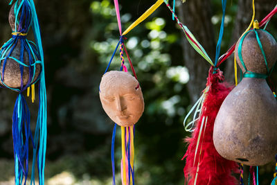 Close-up of birds hanging outdoors