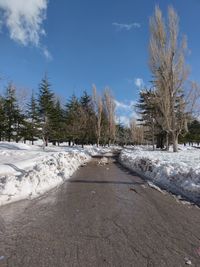Snow covered trees against sky