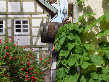 Flowering plants by building