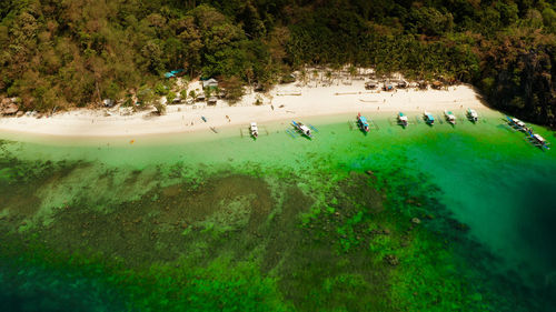 Tropical lagoon with sandy beach, aerial view. el nido, philippines, palawan. 