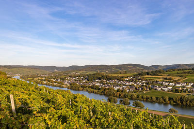 Panoramic view of the moselle valley with the wine village brauneberg in the background