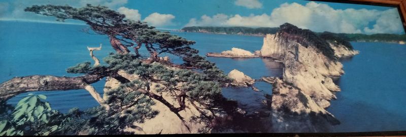 Panoramic view of sea and trees against sky