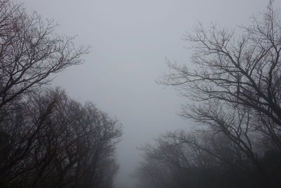Low angle view of bare trees against clear sky