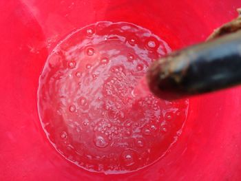 Close-up of wet red flower