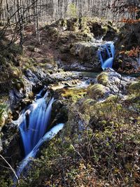 Scenic view of waterfall in forest