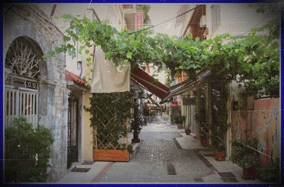 Narrow alley along buildings