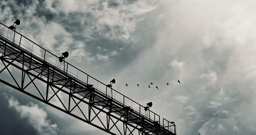 Low angle view of silhouette birds against sky