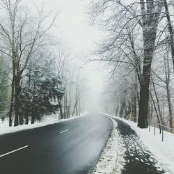 Road passing through bare trees