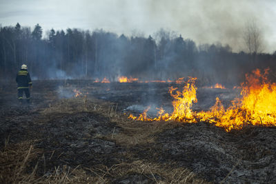 Panoramic view of bonfire on land against trees