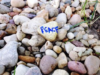 Close-up of text on pebbles