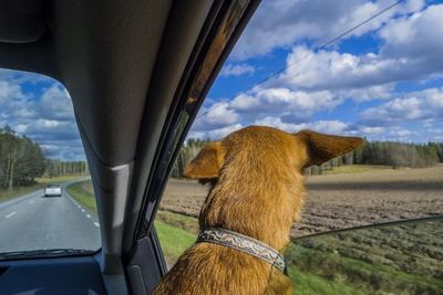 High angle view of road against sky