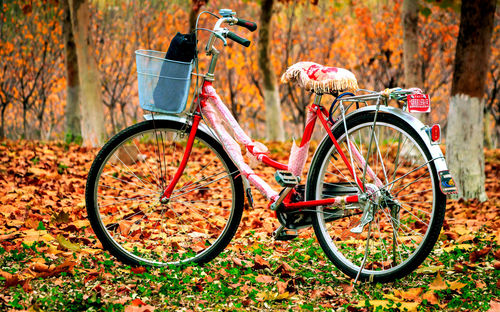 New bicycle on fallen dry leaves in forest
