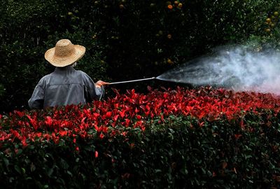 Rear view of man watering plants in park