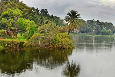 Scenic view of lake by trees against sky