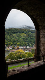 Trees seen through arch window