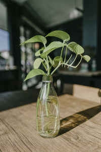 Close-up of glass vase on table