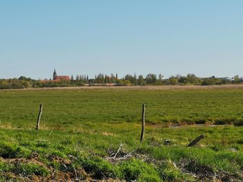 Scenic view of field against clear sky