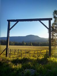 Scenic view of field against clear blue sky