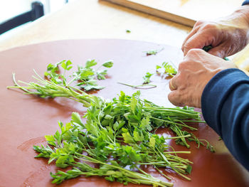 High angle view of person preparing food on table