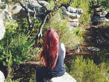 Rear view of woman sitting by plants in forest