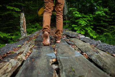 Low section of person standing on wood in forest