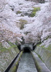 View of bridge over river