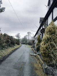 Surface level of road by plants in city against sky