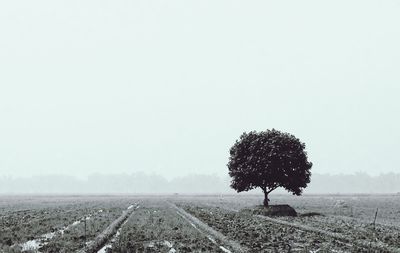 Scenic view of field against cloudy sky