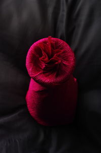 Close-up of red hibiscus