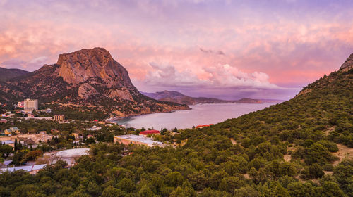 Falcon lit by pink sunset in novyi svit during autumn season. sudak, the republic of crimea