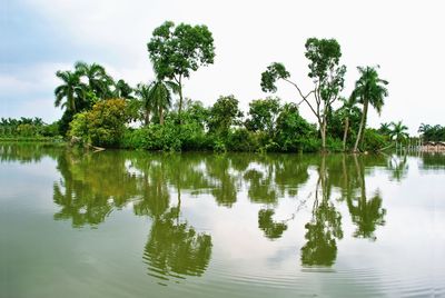 Reflection of trees in lake against sky