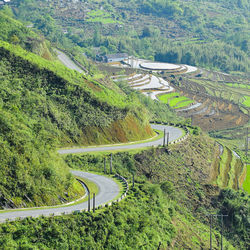 High angle view of road amidst trees