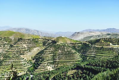 High angle view of agricultural field against clear sky