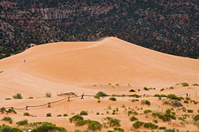 Scenic view of landscape