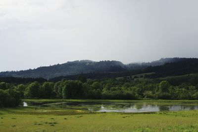 Scenic view of agricultural landscape against sky