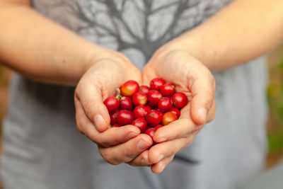 Cropped image of hand holding strawberries