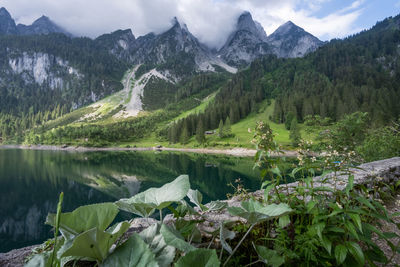 Scenic view of trees and mountains against sky