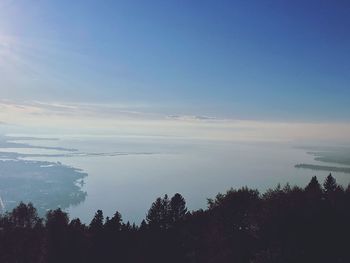 Scenic view of sea and trees against sky