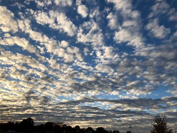 Low angle view of silhouette trees against sky