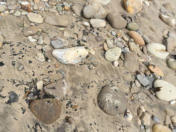 High angle view of pebbles on beach