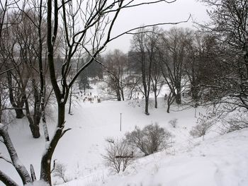 Bare trees on snow covered field against sky