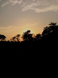 Silhouette of trees at sunset