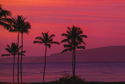 tropical climate