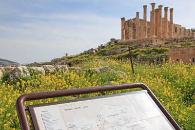 Information sign by flowering plants at old ruins