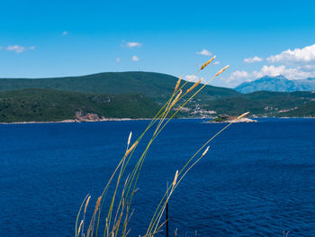 Scenic view of sea against blue sky