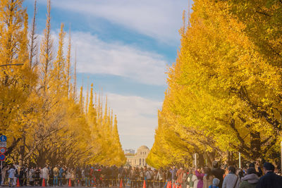 Group of people in park during autumn